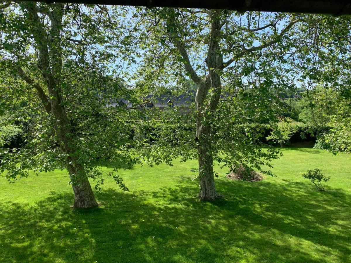 Bed and Breakfast La Grange Saint-Aubin-sur-Scie Екстер'єр фото